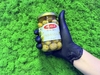 Оливки целые с косточкой Iposea 290 грамм